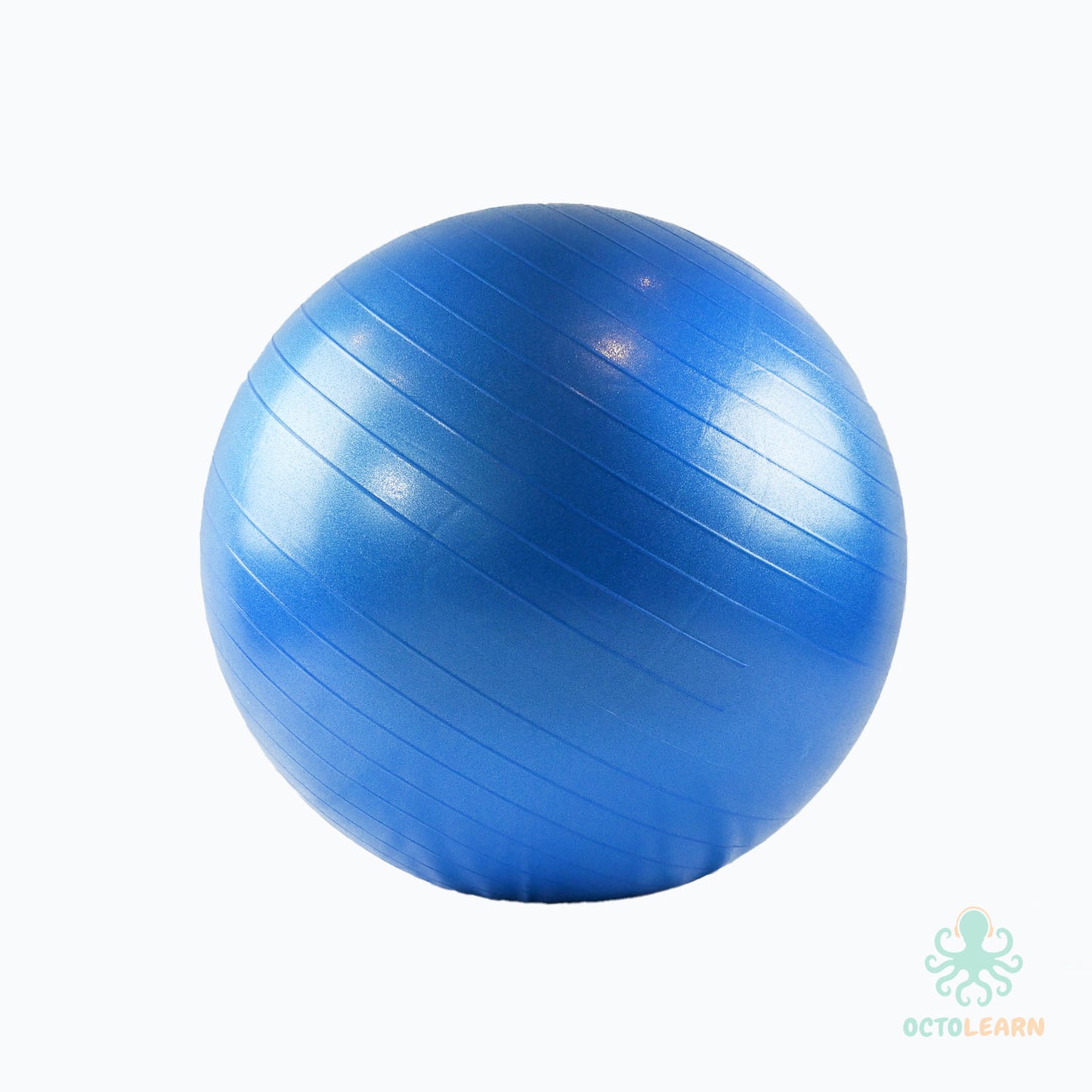 Therapy Ball